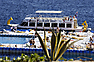 Domina Coral Bay Harem Hotel & Resort