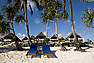 Dolphin Paradise Resort and Spa