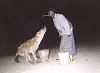 Harar - Hyenas