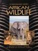 Lonely Plant - Watching Wildlife Southern Africa