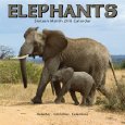 Elephants Calendar 2010 (Calendar) 