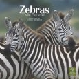 Zebras 2010 Wall (Calendar) 