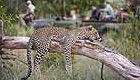4 Day, Big 5 Safari, South Africa
