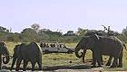 10 Day, Botswana Explorer
