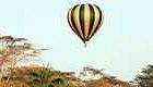 11 Day, Grand Lodge Safari, Tanzania