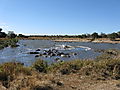 Hippo Spa