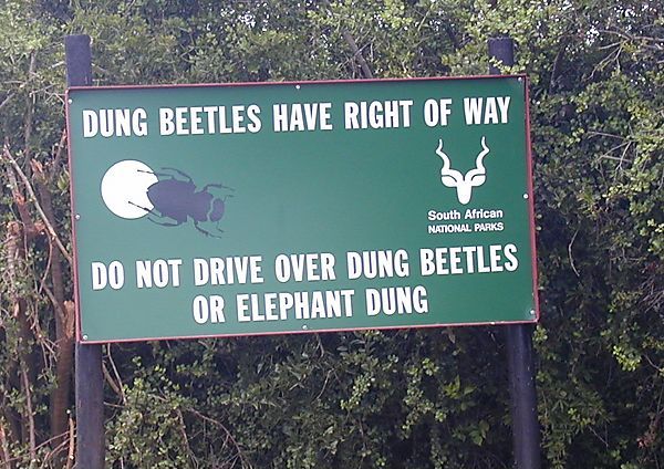 Dung Beetle Sign, South Africa