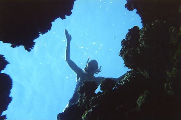 Snorkelling On Reef