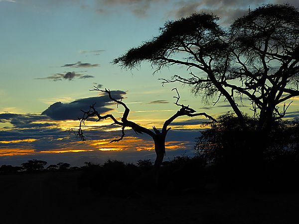 Sunset in Amboseli