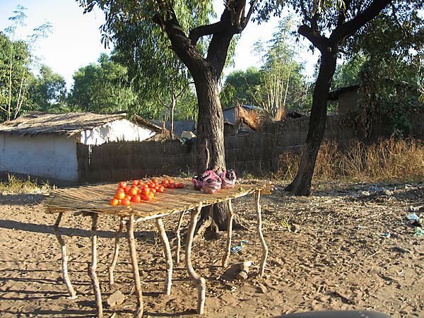 Tomatoes For Sale, Malawi