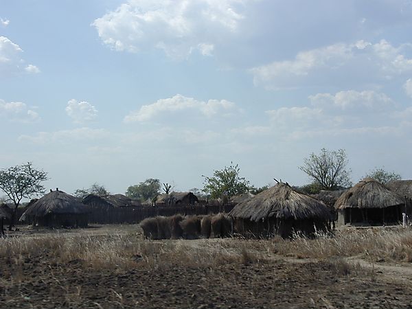 Traditional Village In Malawi