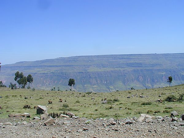 View At  Top Of Blue Nile Gorge, Ethiopia