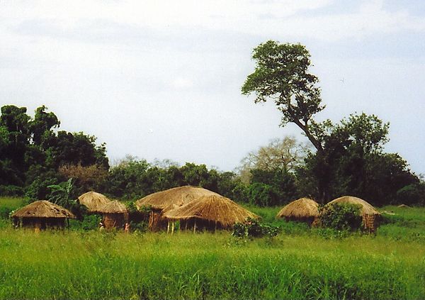 Village In Malawi