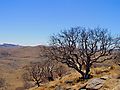 Damarland scenery, Namibia