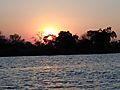 Sunset  Okavango River, Namibia