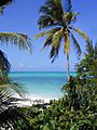 Stunning Beach Scene, Zanzibar, Tanzania