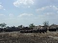 Traditional Village in Malawi