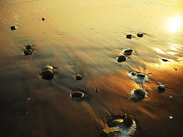 Golden Pebbles On The Beach