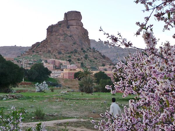 Almond blossoms at Tafraoute's iconic rock formation 'Napoleon's Hat'