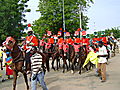 Sallah Celebrations in Katsina, Nigeria