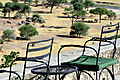 View From Terrace of Tarangire Safari Camp