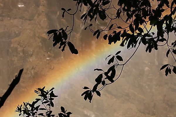 Rainbow over Victoria falls