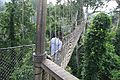 Canopy Walkway Kakum