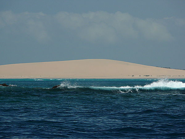 Two Mile Reef