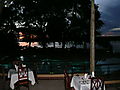 Golden Sunrise Peeping Through the Trees at Chobe Safari Lodge