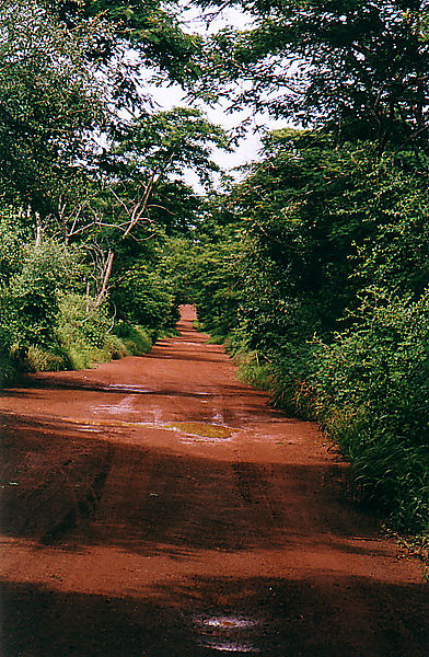 Road to Salemata