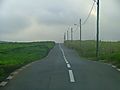 Sugar & Tea Plantations near Grand Bassin