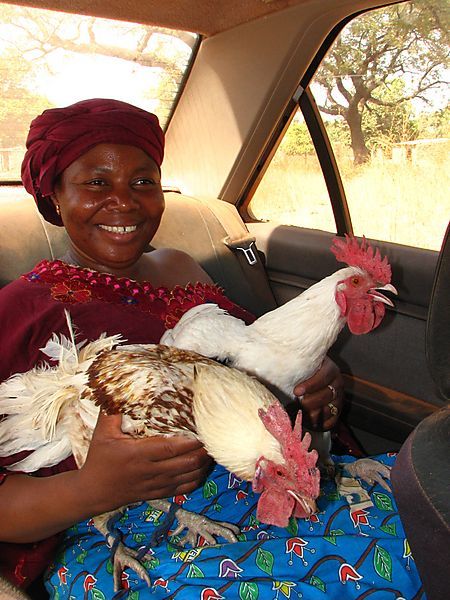 Marie-claire With 2 Travelling Companions In Gaoua.