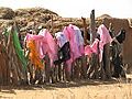 Veils Drying In The Wind.