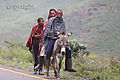 lesotho