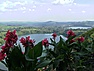 CVK Lakeside Budget Accomodation &Monkey Sanctuar