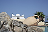 Villa Tetouan Amsa