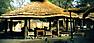 Ecocamp Badian