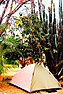 Welcome Lodge Lilongwe