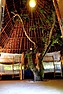 Distant Relatives Ecolodge & Backpackers