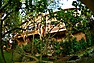 Forest Cottages in Kampala