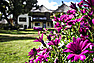 Winelands Villa Guesthouse and Cottages