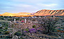 Karoo View Cottages