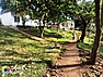 Chimango  Lodge Mulanje