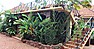 Nile Eden Resort in Njeru-Jinja