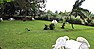 Nile Eden Resort in Njeru-Jinja