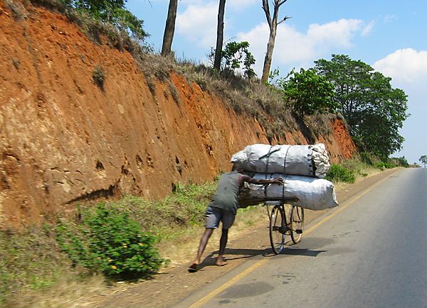 A Heavy Load Of Charcoal