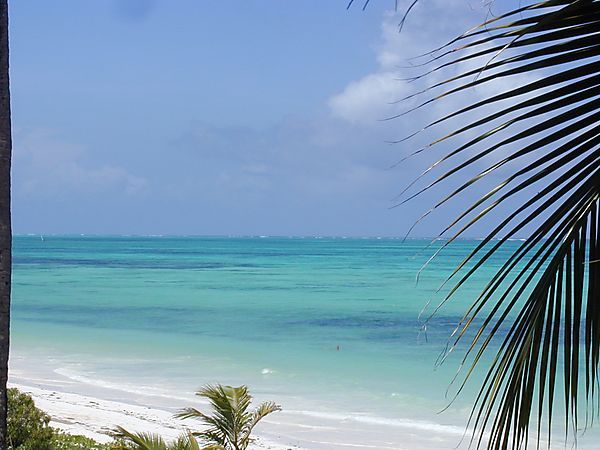 Beach Scene, Jambiani, Zanzibar, Tanzania
