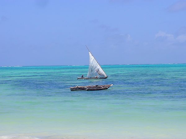 Dhows, Zanzibar, Tanzania
