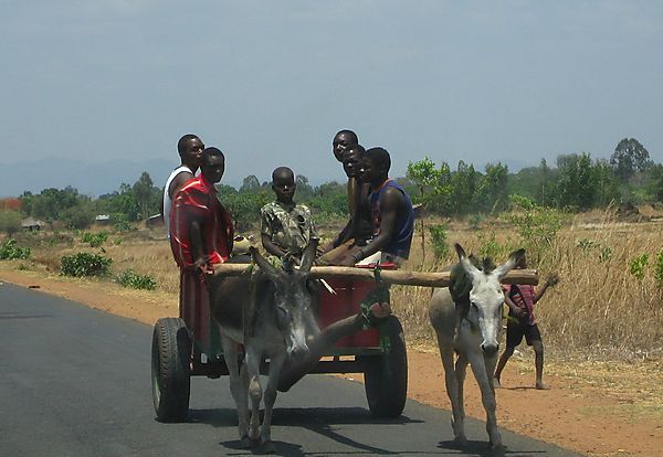 Donkey Cart