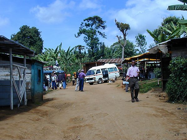 Ending Point Of Trek, Kilimanjaro, Tanzania